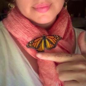 21558713_10210463751730176_8634060475290703729_n